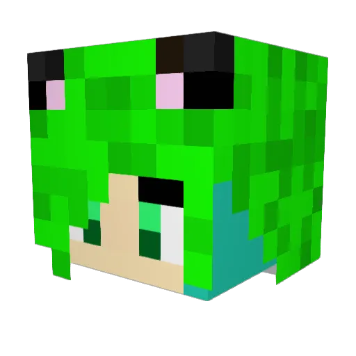 ninetalesgirl24 Minecraft avatar head, 3D render