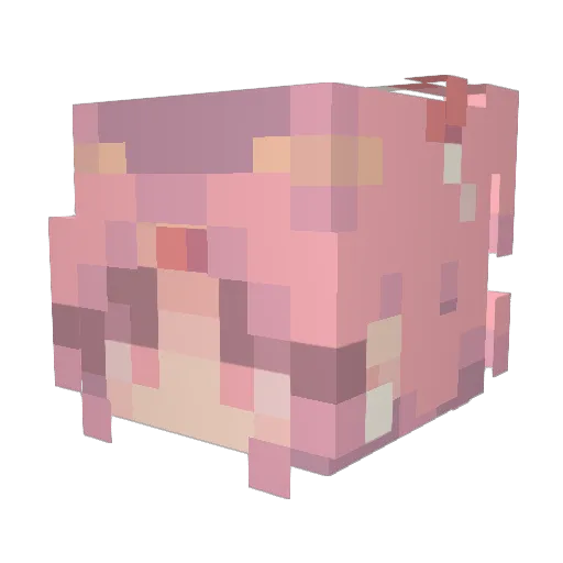 ninethi Minecraft avatar head, 3D render
