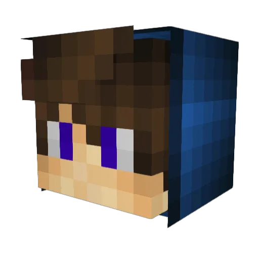 nineways09 Minecraft avatar head, 3D render