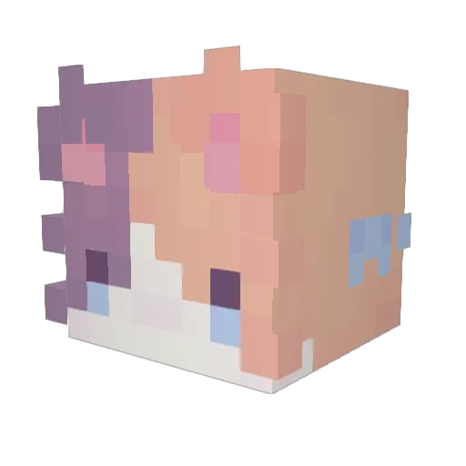 ninfion Minecraft avatar head, 3D render