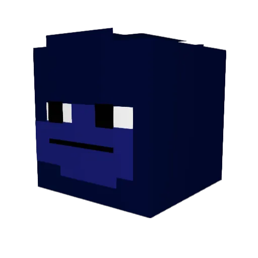 ninga2505 Minecraft avatar head, 3D render