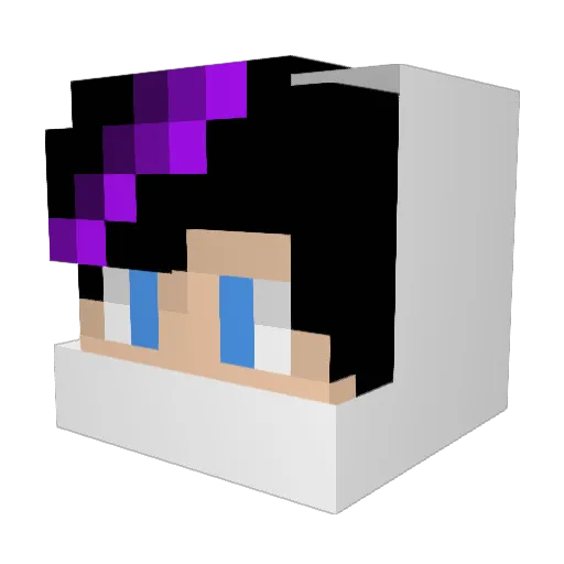 nini250 Minecraft avatar head, 3D render