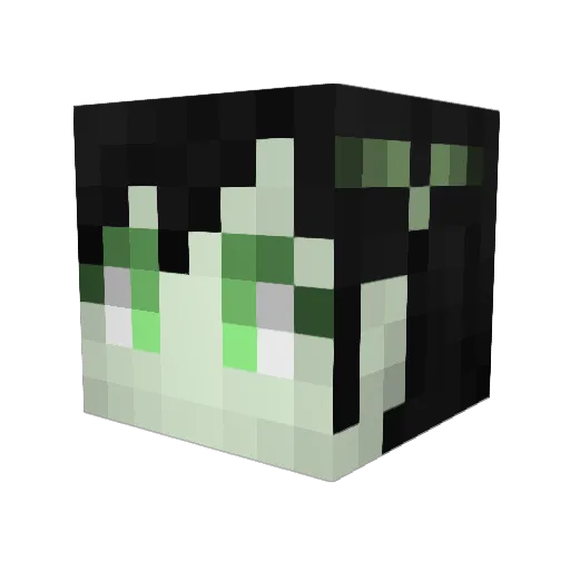 ninidoll Minecraft avatar head, 3D render