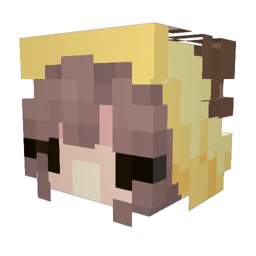 niniest Minecraft avatar head, 3D render