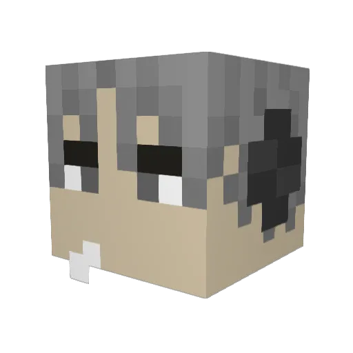 ninj4frog Minecraft avatar head, 3D render
