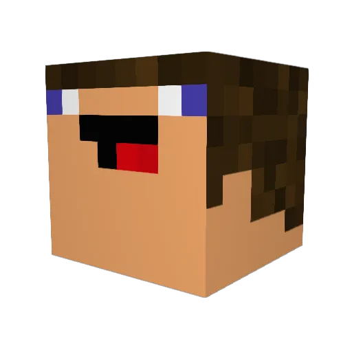 ninja008pl Minecraft avatar head, 3D render