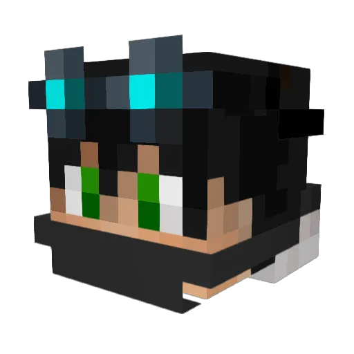 ninja100754 Minecraft avatar head, 3D render