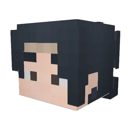 ninja1122 Minecraft avatar head, 3D render