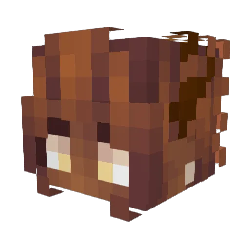 ninja143501 Minecraft avatar head, 3D render