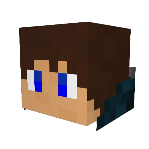 ninja161 Minecraft avatar head, 3D render