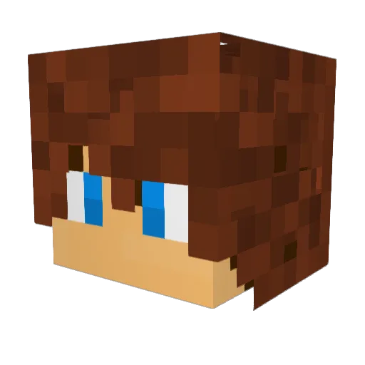 ninja196 Minecraft avatar head, 3D render