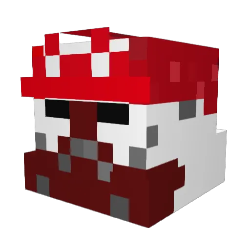 ninja20096 Minecraft avatar head, 3D render