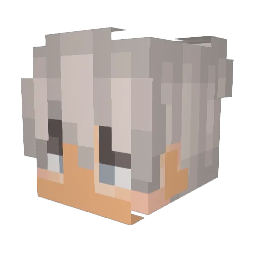 ninja2140 Minecraft avatar head, 3D render