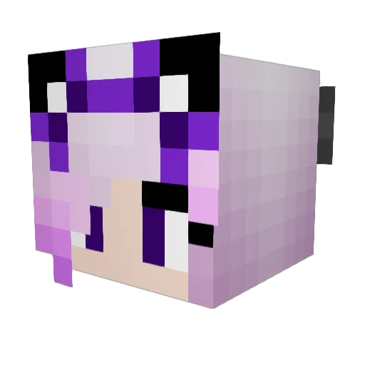 ninja29 Minecraft avatar head, 3D render