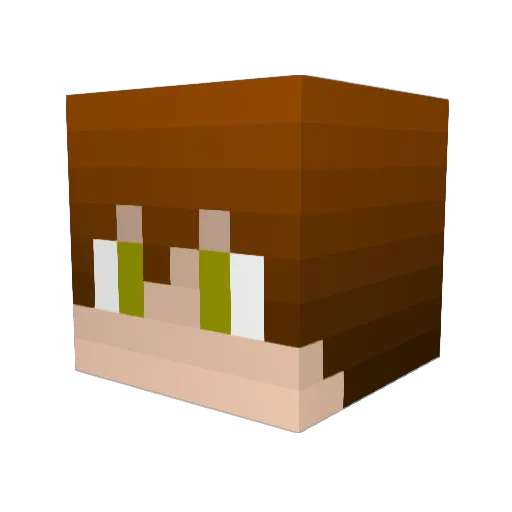ninja30411 Minecraft avatar head, 3D render