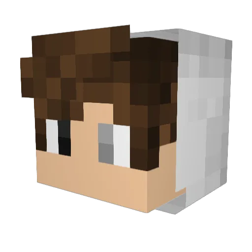 ninja54046 Minecraft avatar head, 3D render