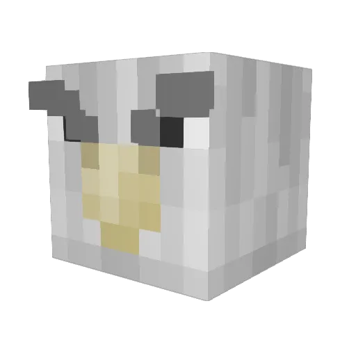 ninja62531 Minecraft avatar head, 3D render