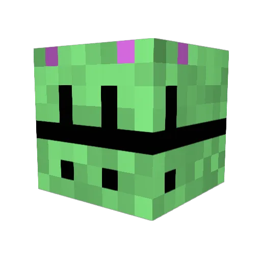 ninja972 Minecraft avatar head, 3D render