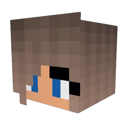 ninjaHD08 Minecraft avatar head, 3D render