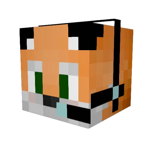 ninjaJP2003 Minecraft avatar head, 3D render