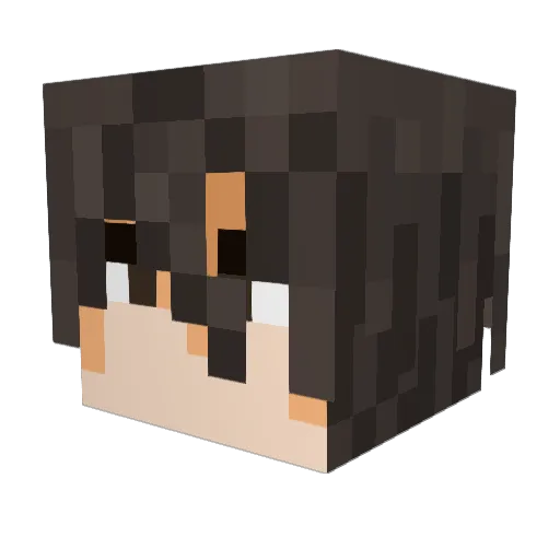 ninjaXart Minecraft avatar head, 3D render