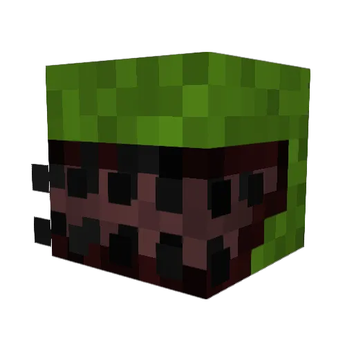 ninja_Cat12345 Minecraft avatar head, 3D render