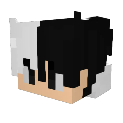 ninja_boss585 Minecraft avatar head, 3D render