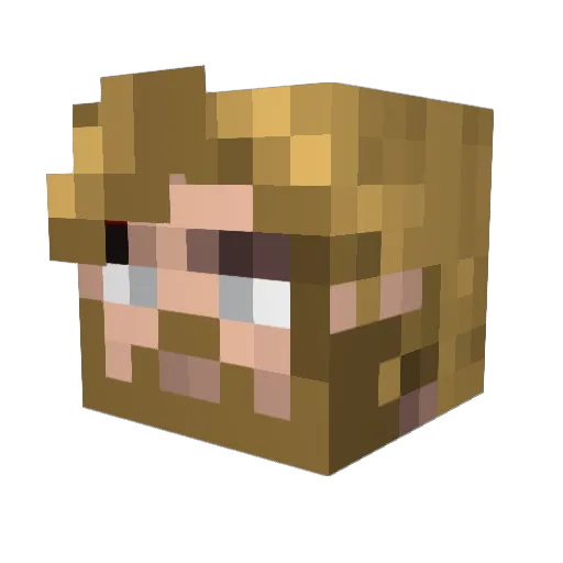 ninja_bro3 Minecraft avatar head, 3D render