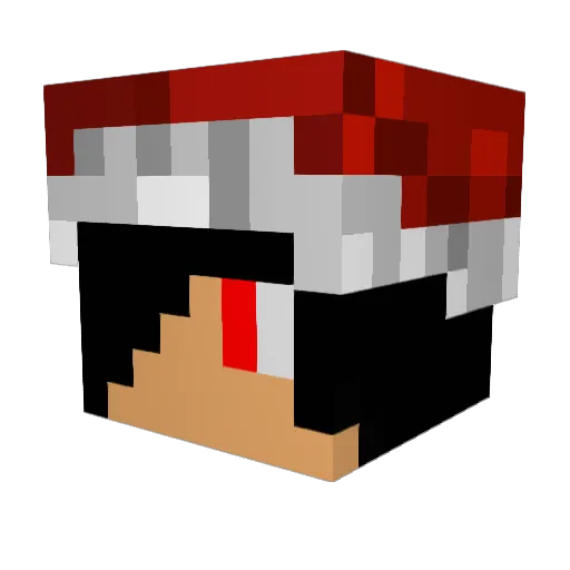 ninja_kai1223 Minecraft avatar head, 3D render