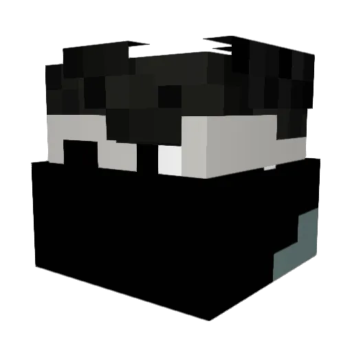ninja_pingwin Minecraft avatar head, 3D render