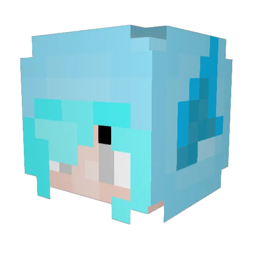 ninja_unicorn03 Minecraft avatar head, 3D render