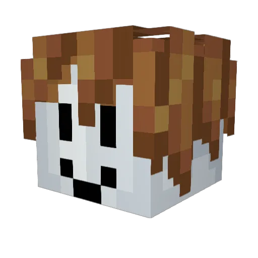 ninjabotboy36 Minecraft avatar head, 3D render
