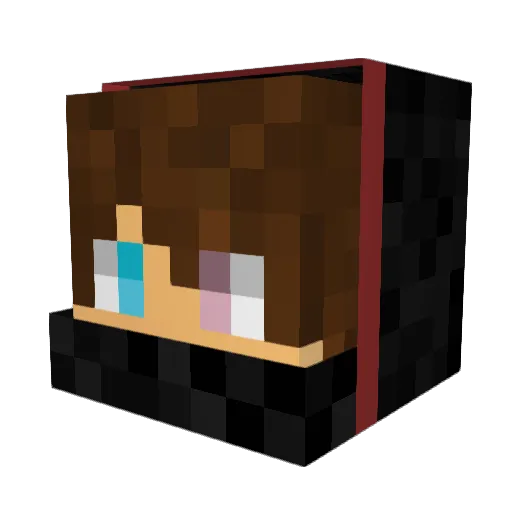 ninjadon8 Minecraft avatar head, 3D render