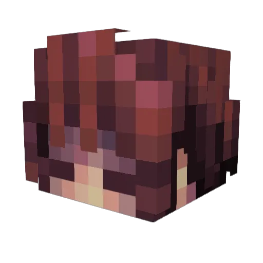 ninjadude434 Minecraft avatar head, 3D render