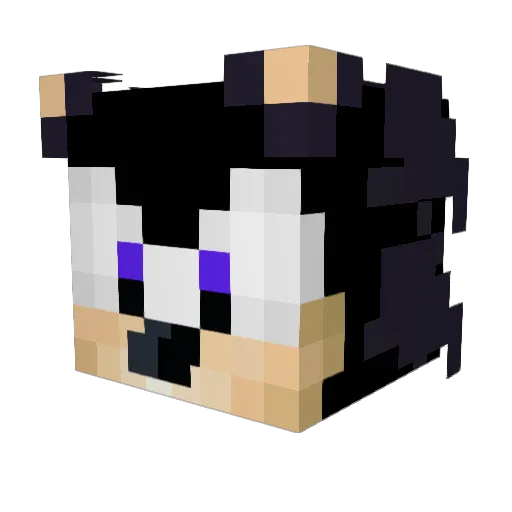 ninjadude776 Minecraft avatar head, 3D render
