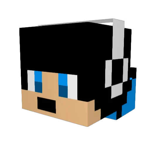 ninjafish777 Minecraft avatar head, 3D render