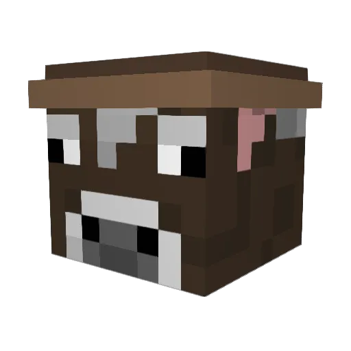 ninjafrog35 Minecraft avatar head, 3D render