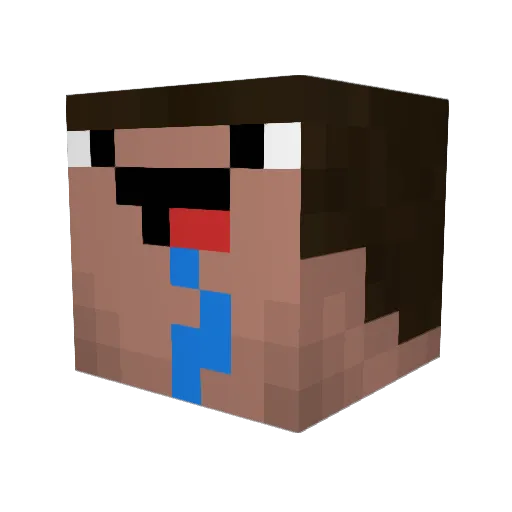 ninjafruit56 Minecraft avatar head, 3D render