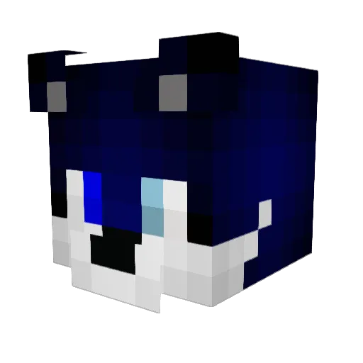 ninjagaming321 Minecraft avatar head, 3D render