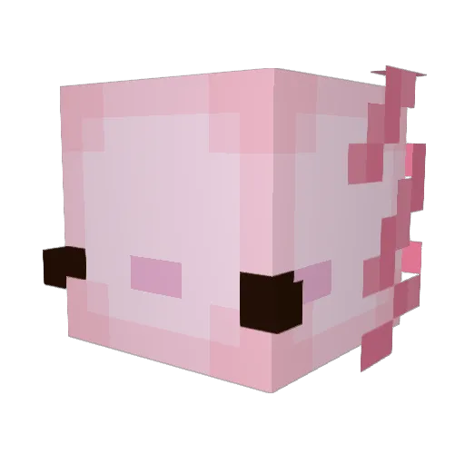 ninjagoluvr Minecraft avatar head, 3D render