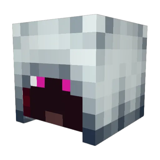 ninjagosoccer Minecraft avatar head, 3D render