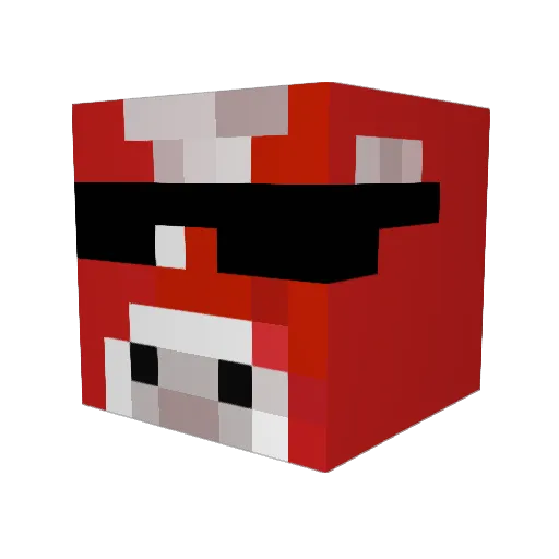 ninjagutt8 Minecraft avatar head, 3D render