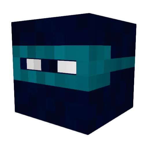 ninjaguy166 Minecraft avatar head, 3D render