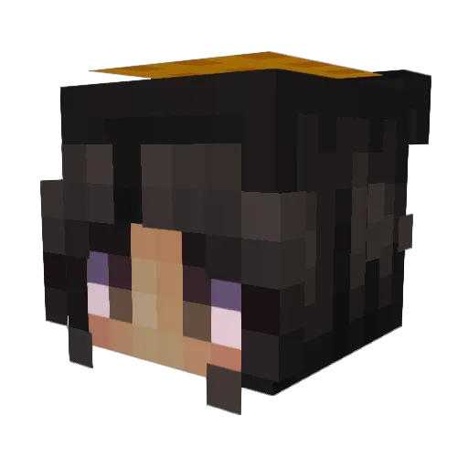 ninjakidRS21 Minecraft avatar head, 3D render