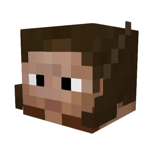 ninjakill9675 Minecraft avatar head, 3D render