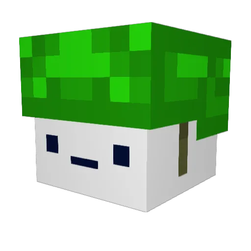 ninjakoeb Minecraft avatar head, 3D render