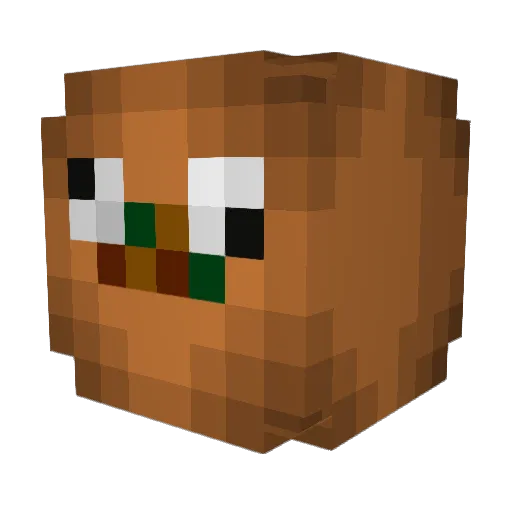 ninjal3x Minecraft avatar head, 3D render