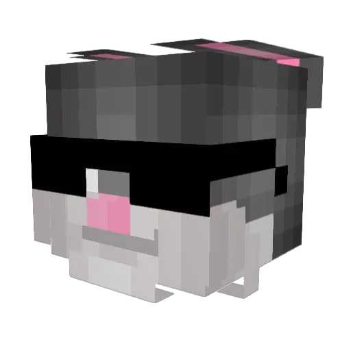 ninjaleothe800th Minecraft avatar head, 3D render