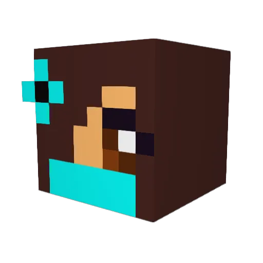 ninjaman9876 Minecraft avatar head, 3D render
