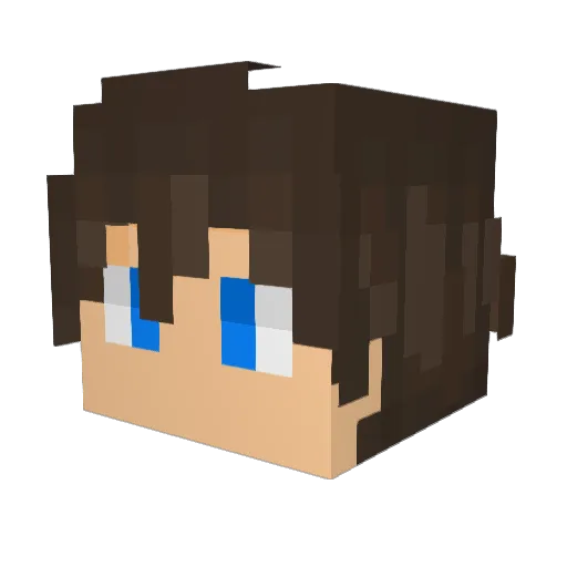 ninjamasterSD Minecraft avatar head, 3D render